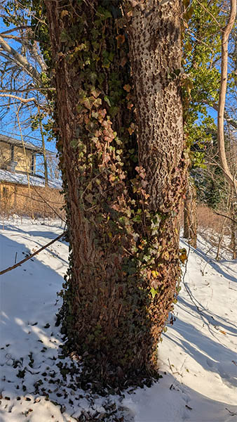 Final Spoiler Lösung